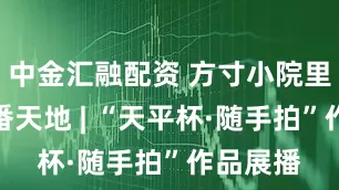 中金汇融配资 方寸小院里的另一番天地 | “天平杯·随手拍”作品展播